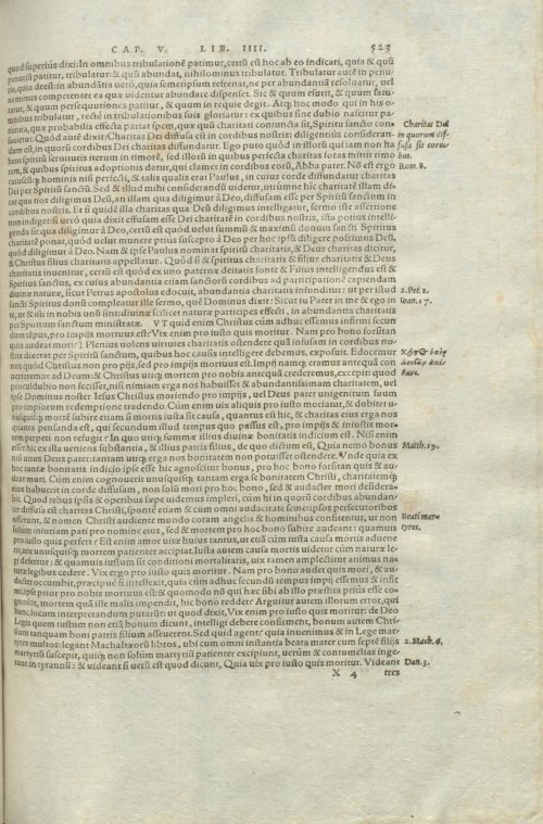 Страница 527