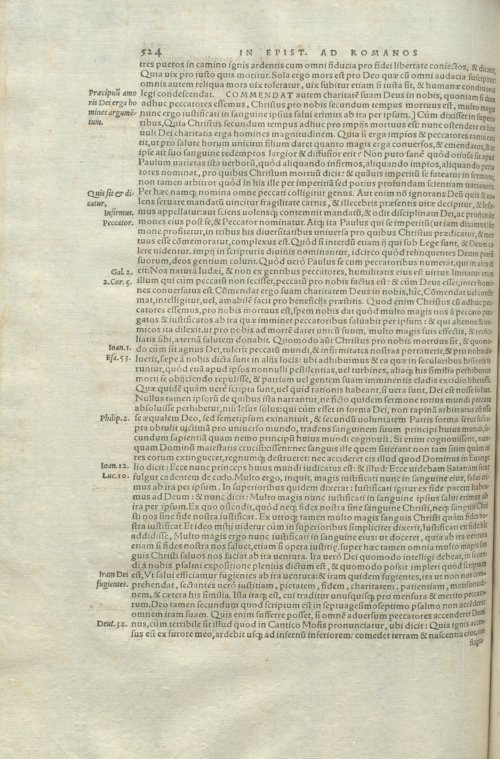 Страница 528
