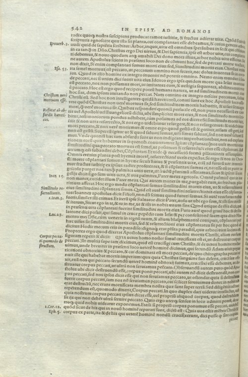Страница 546