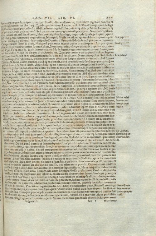 Страница 559