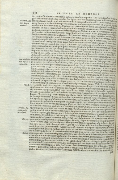 Страница 562