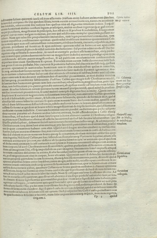 Страница 729