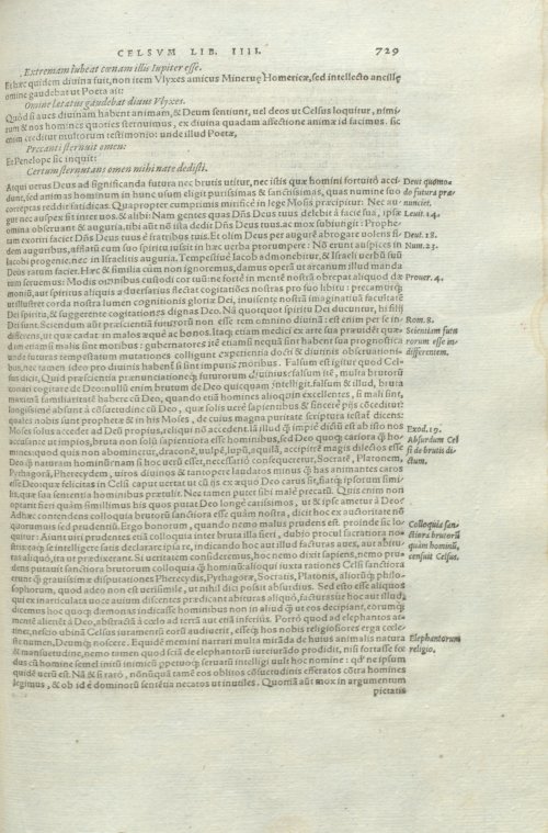 Страница 733