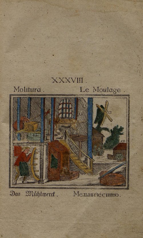 Страница 142