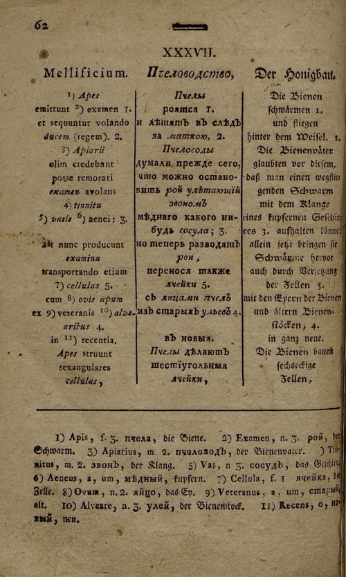 Страница 145