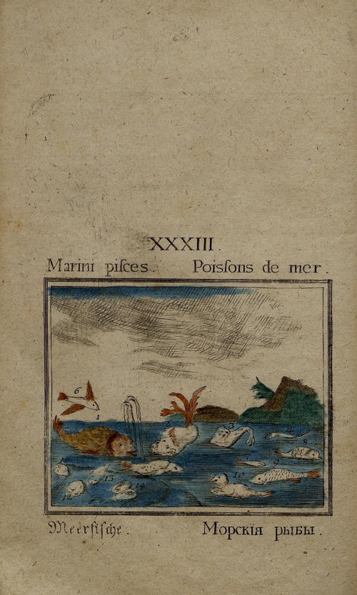Страница 155