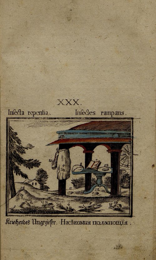 Страница 164