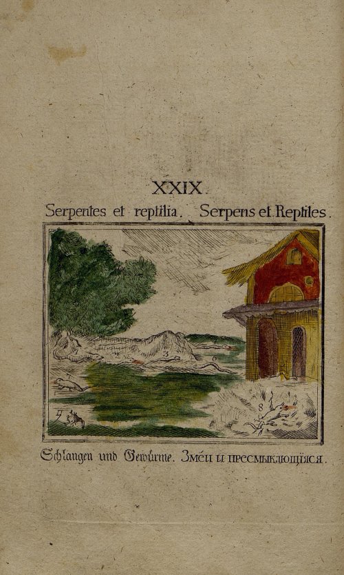 Страница 167