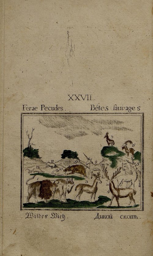 Страница 171