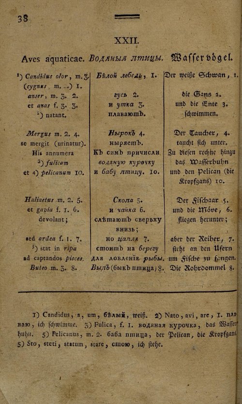 Страница 183