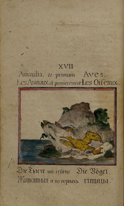 Страница 191