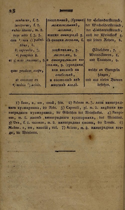 Страница 197