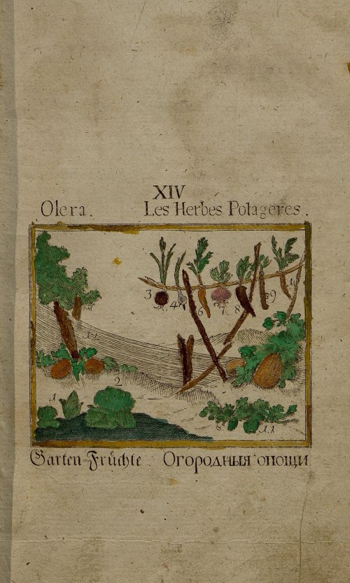 Страница 204