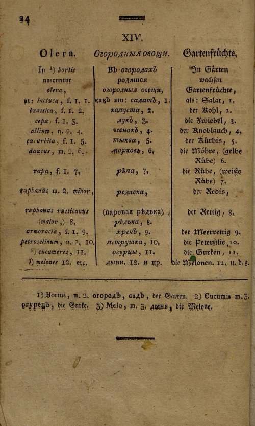 Страница 205