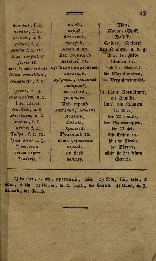 Страница 206