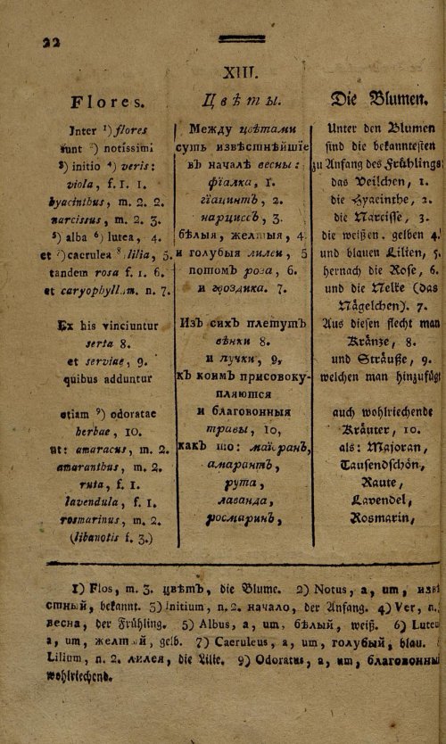 Страница 207