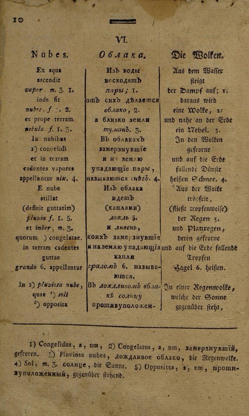 Страница 229