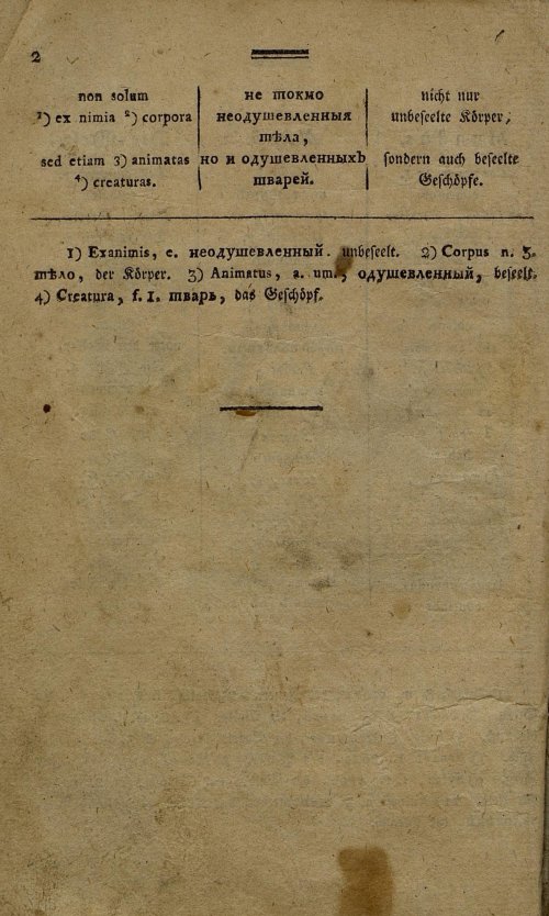 Страница 243
