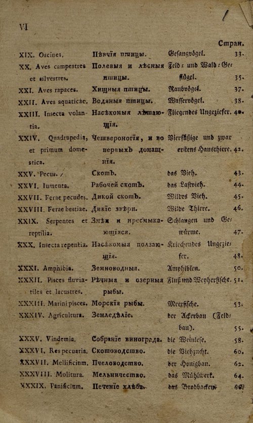 Страница 249