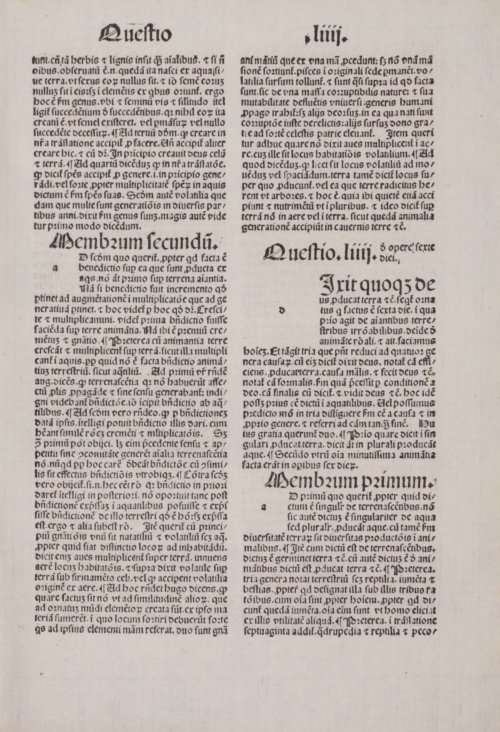 Страница 239