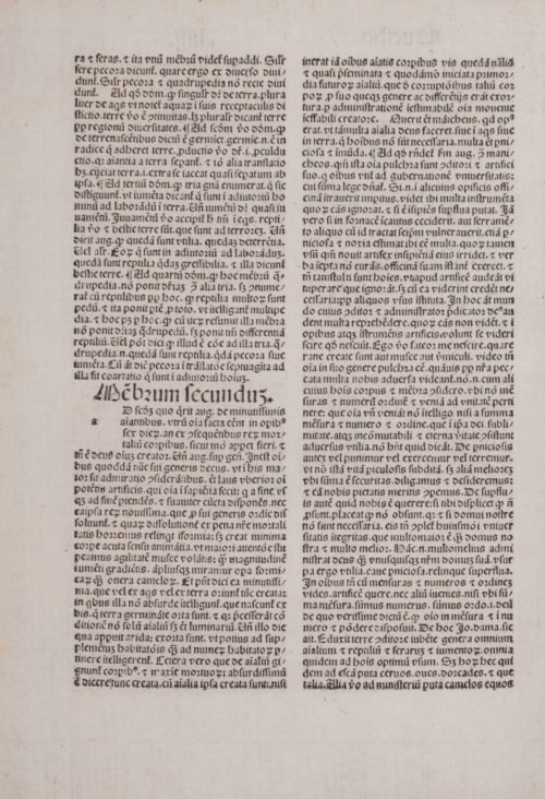Страница 240