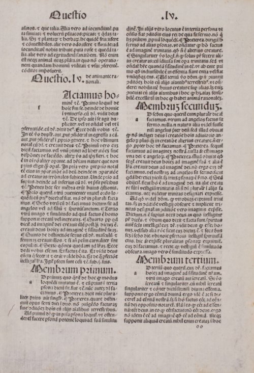 Страница 241