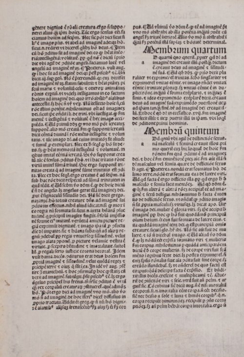 Страница 242