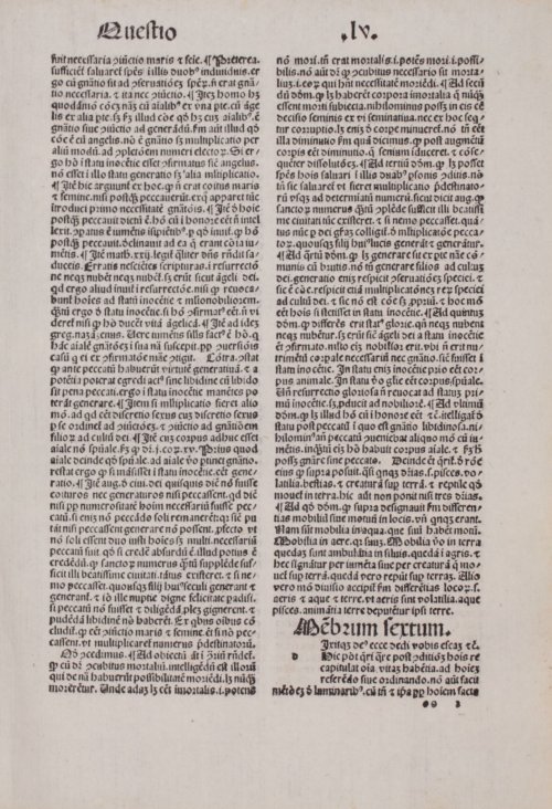 Страница 243