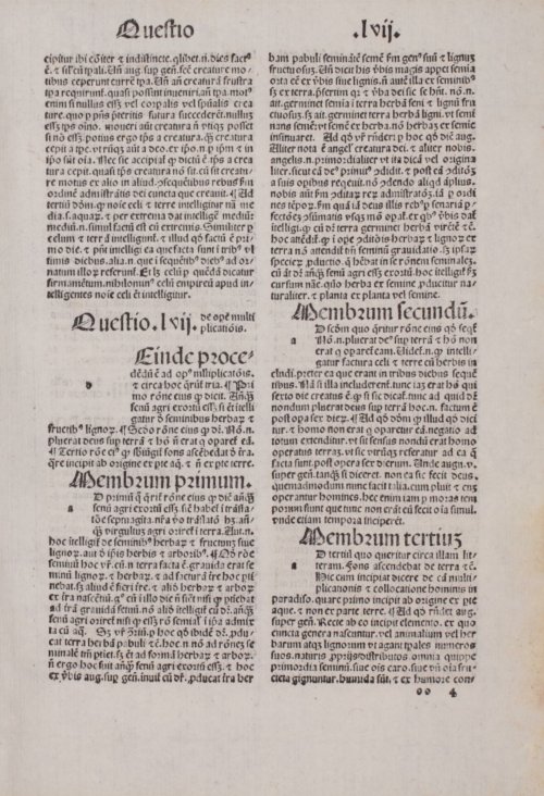 Страница 247