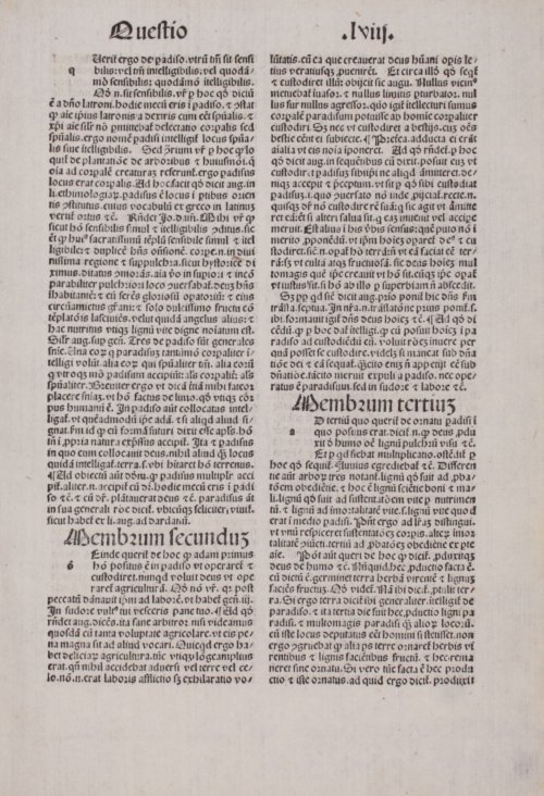 Страница 249