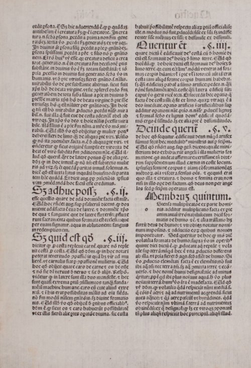 Страница 252