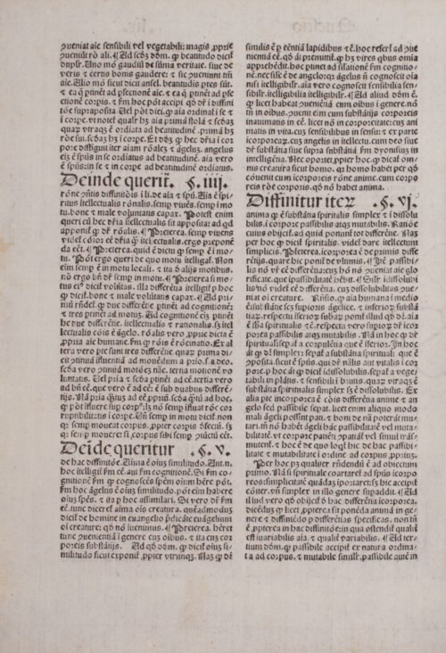 Страница 256