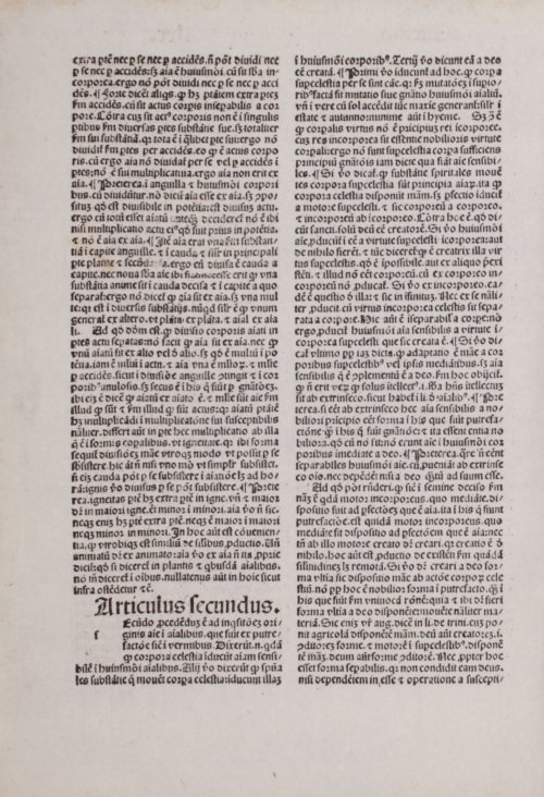 Страница 260