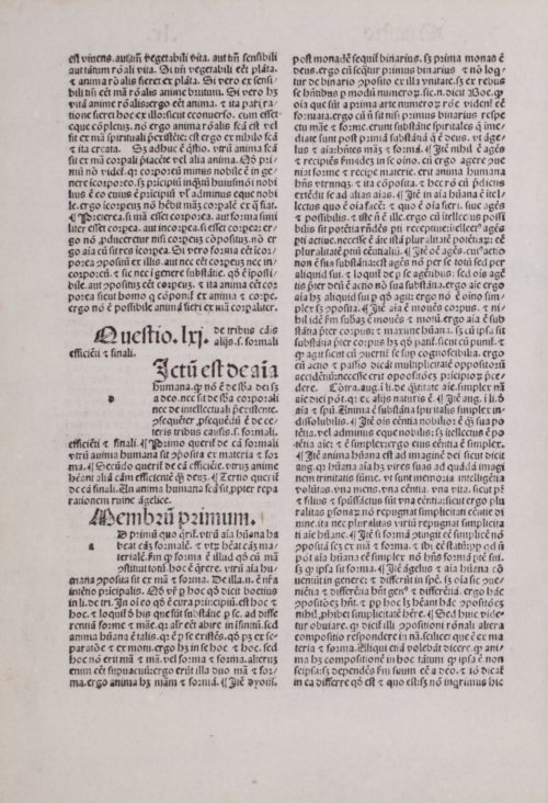 Страница 262