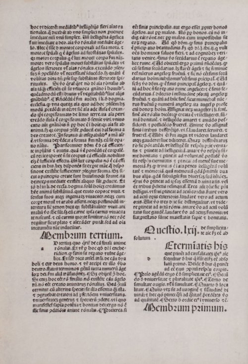 Страница 264