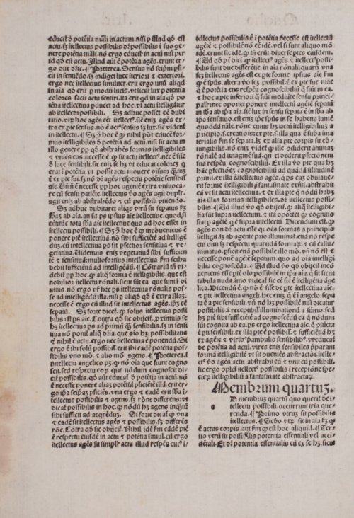 Страница 292