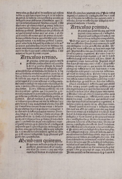 Страница 294