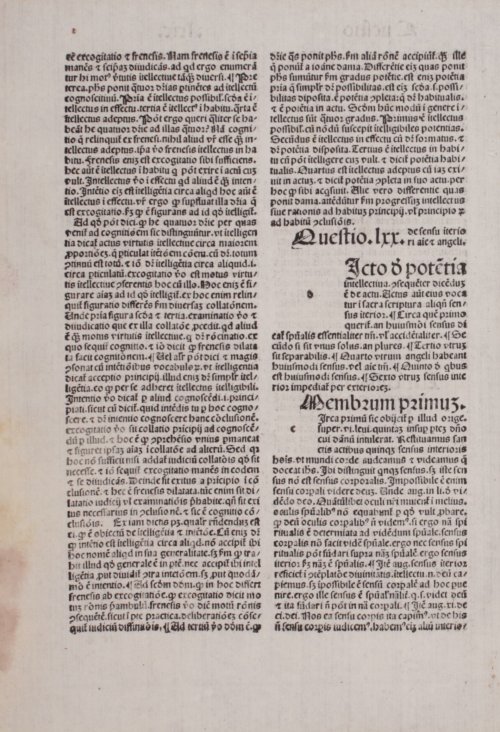 Страница 296