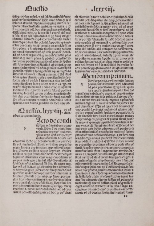 Страница 385