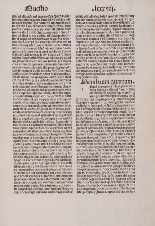 Страница 393