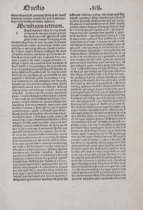 Страница 425