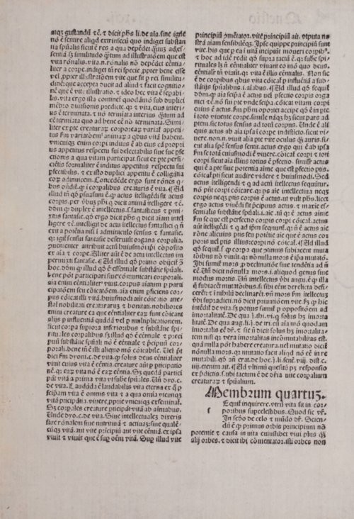 Страница 426