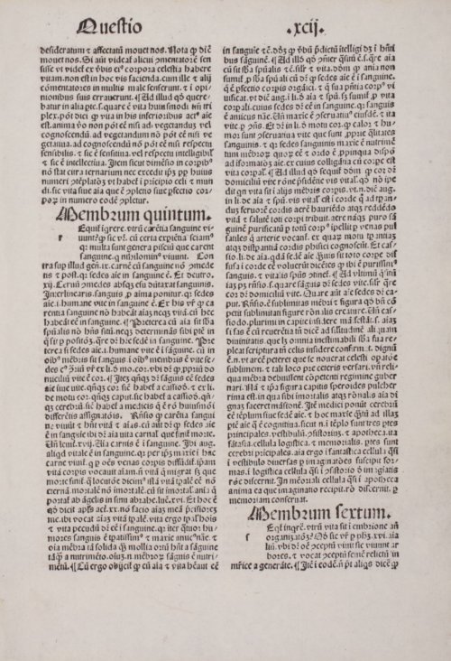 Страница 429