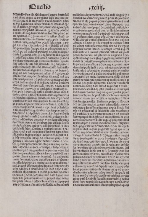 Страница 447