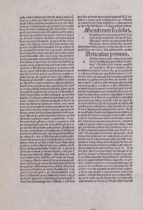 Страница 462