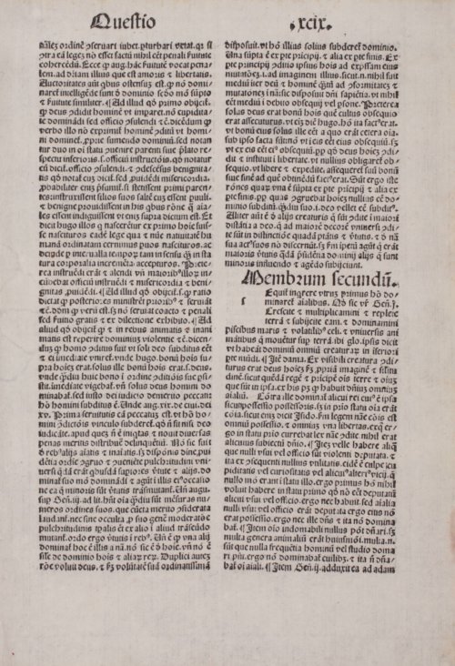 Страница 491