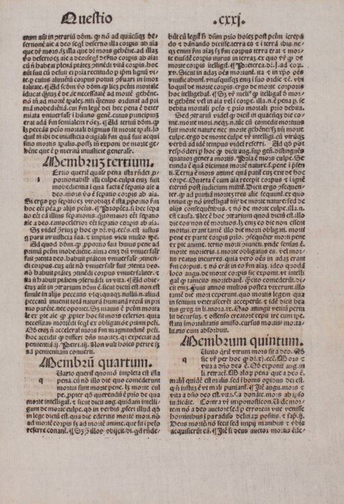 Страница 617