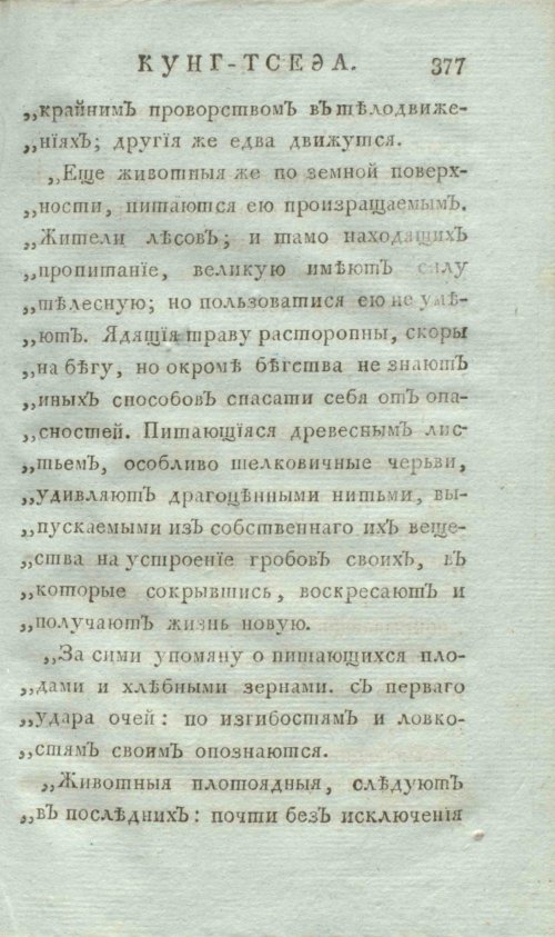 Страница 385