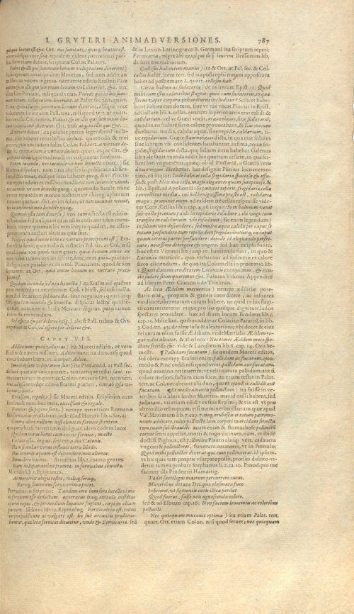 Страница 971