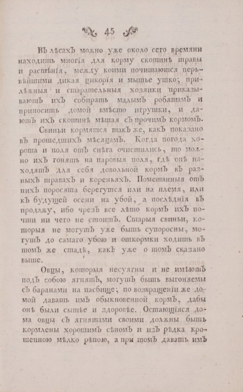 Страница 89